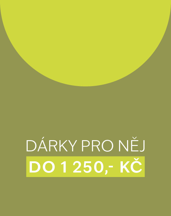 Nápady na dárek pod 1250 Kč pro nej