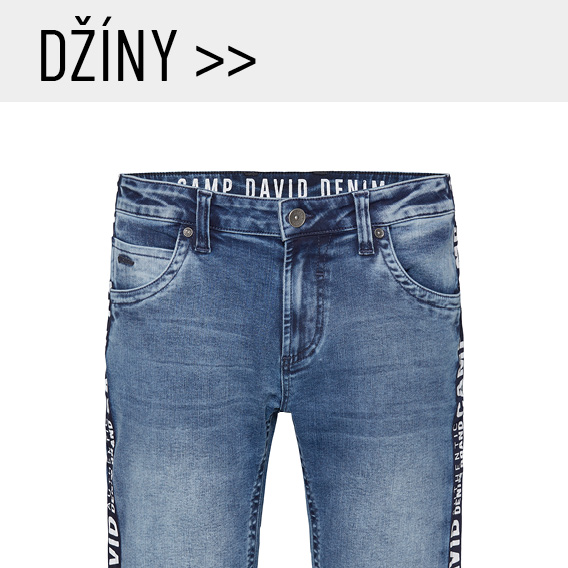 Dziny